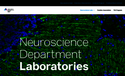 neuroscience.mssm.edu