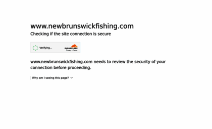 newbrunswickfishing.com