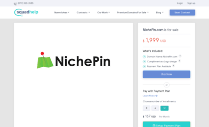 nichepin.com