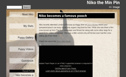 niko-the-minpin.com
