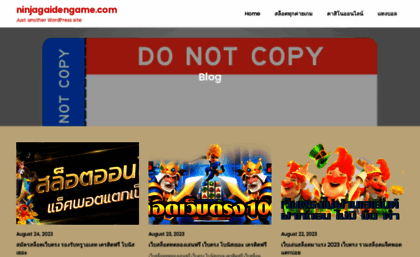 ninjagaidengame.com