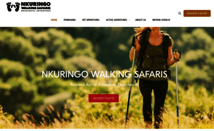 nkuringowalkingsafaris.com