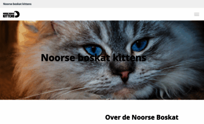 noorseboskatkittens.nl