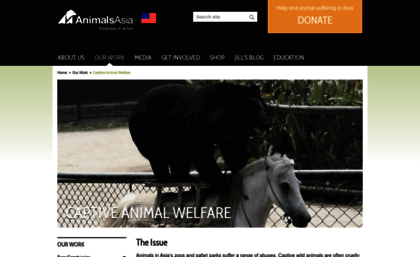 novoice.animalsasia.org