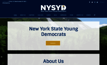 nysyd.org