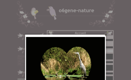 o6gene-nature.e-monsite.com
