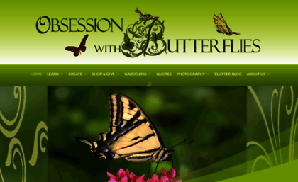 obsessionwithbutterflies.com