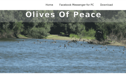 olivesofpeace.org