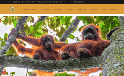 orangutancentre.org