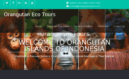 orangutanexplore.com