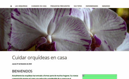 orquideasweb.com