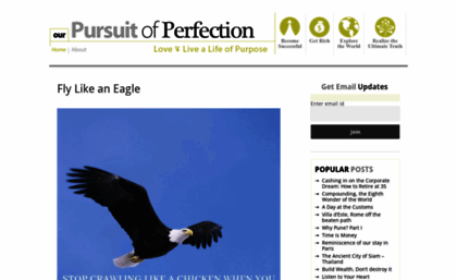 ourpursuitofperfection.com