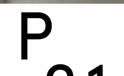 p21.kr