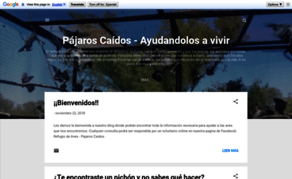 pajaros-caidos.blogspot.com