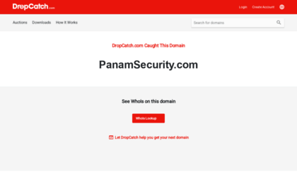 panamsecurity.com