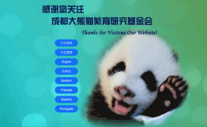 pandafoundation.org
