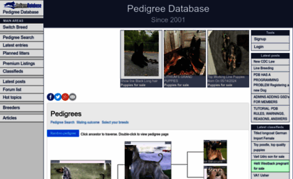 pedigreedatabase.com