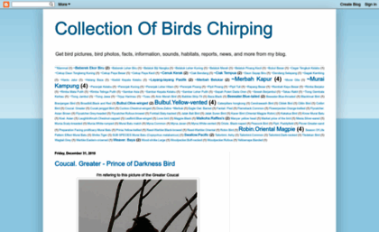 pendy-birds-collection.blogspot.com