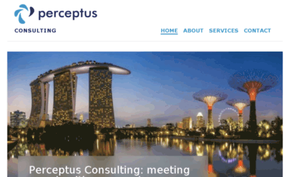 perceptusconsulting.com