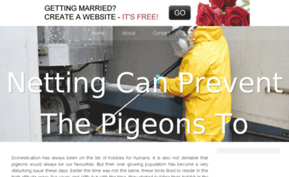 pigeonnettinglondon.bravesites.com