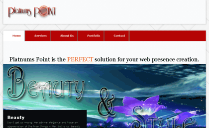 platinumspoint.com