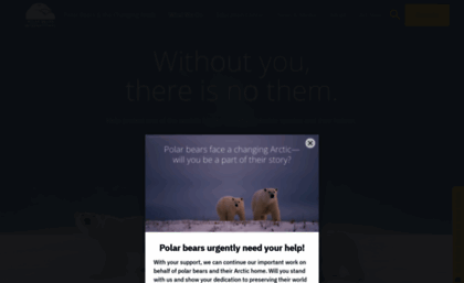 polarbearsinternational.org