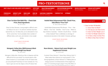 pro-testosteronereview.com