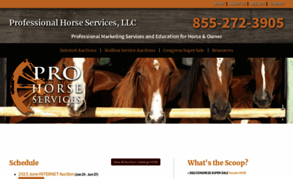 professionalauction.com