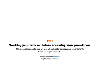 prosek.com