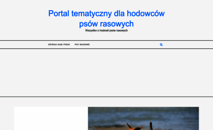 psiaki.net.pl