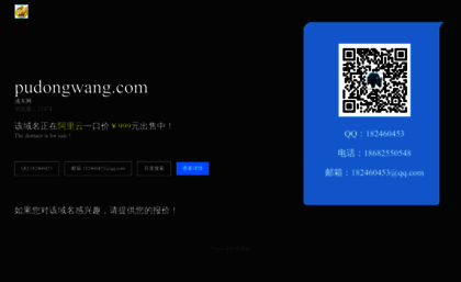 pudongwang.com