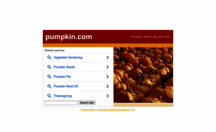 pumpkin.com
