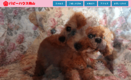 puppy-house.jp