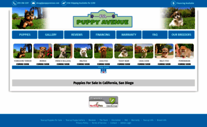puppyavenue.com