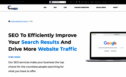 pureseo.co.nz