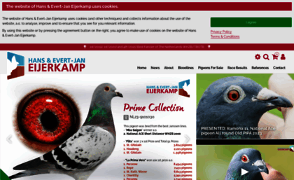 quality-racing-pigeons-for-sale.com