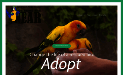 rescueparrots.org