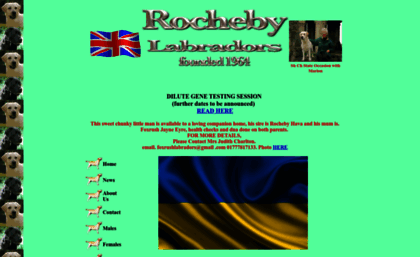 rochebylabradors.co.uk