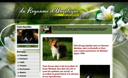 royaumeangelique.chiens-de-france.com