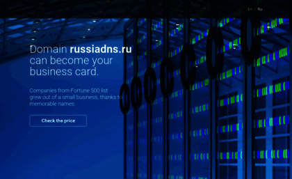 russiadns.ru