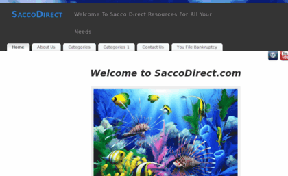 saccodirect.com