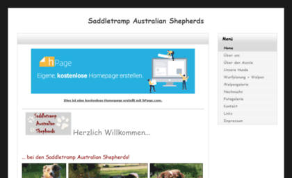 saddletramp-australian-shepherds.npage.de