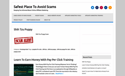 safestplacetoavoidscams.com