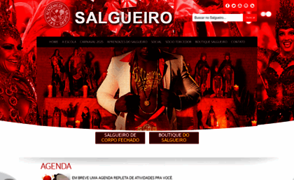 salgueiro.com.br