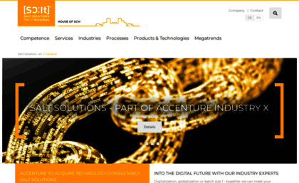 salt-solutions.de