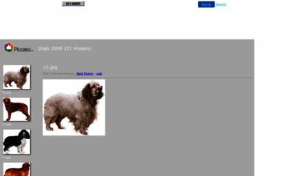 saltry.bappy.com