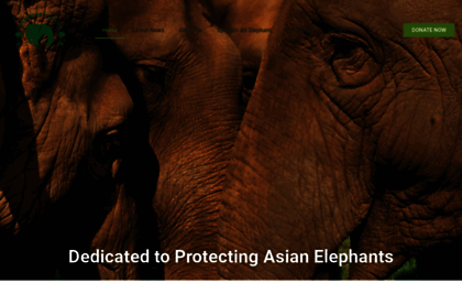 saveelephant.org