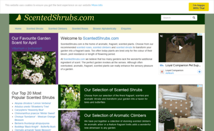 scentedshrubs.com