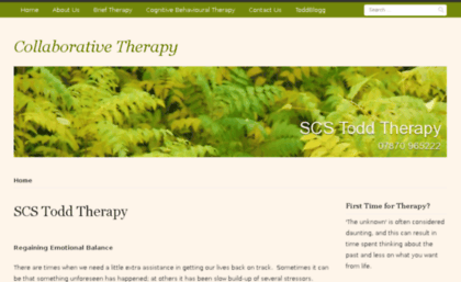 scstoddtherapy.co.uk