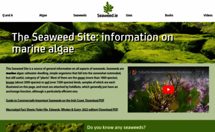 seaweed.ie